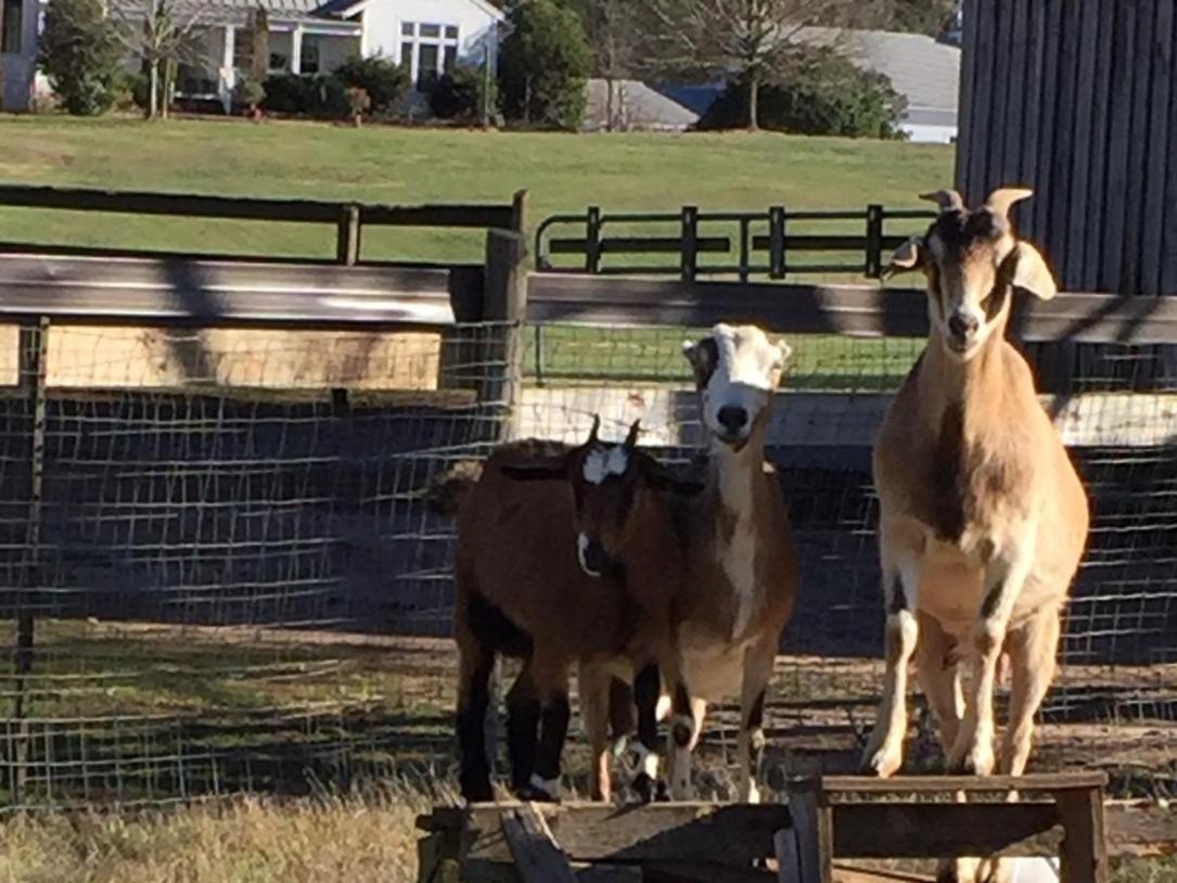 The Farmhouse Inn Buckhead エクステリア 写真